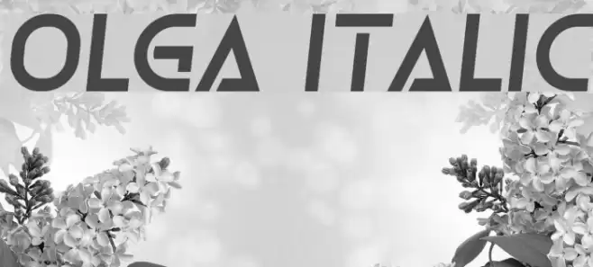 Olga Italic Font examples