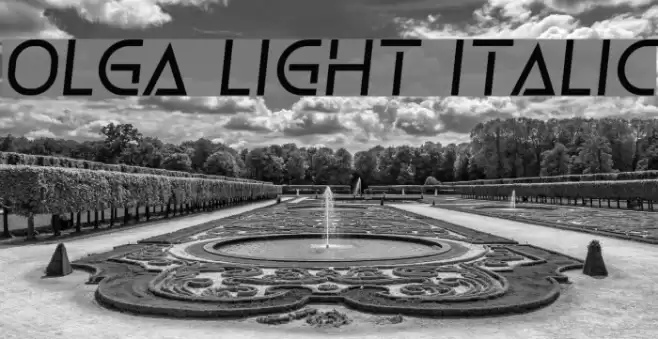 Olga Light Italic Font examples
