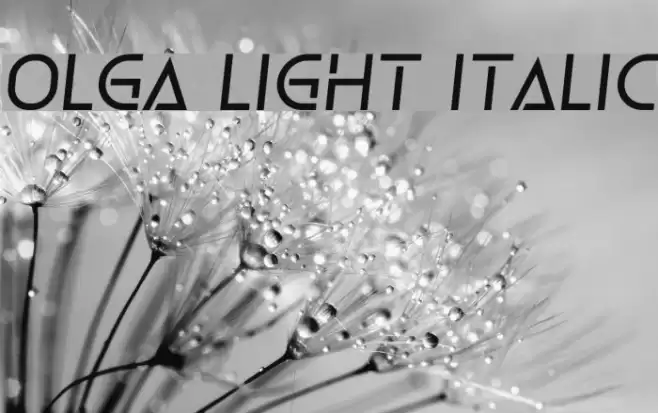 Olga Light Italic Font examples