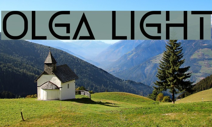 Olga Light Font examples