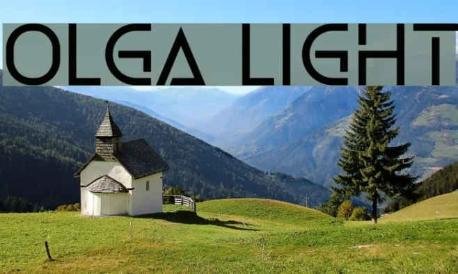 Olga Light Example 1