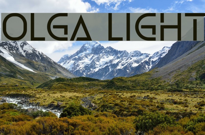 Olga Light Font examples
