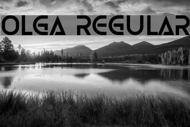 Olga Regular Font examples