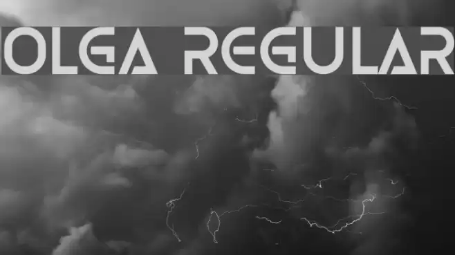 Olga Regular Font examples
