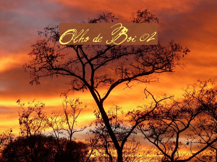 Olho de Boi 02 Font examples