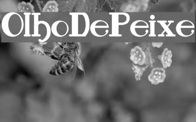 OlhoDePeixe Font examples