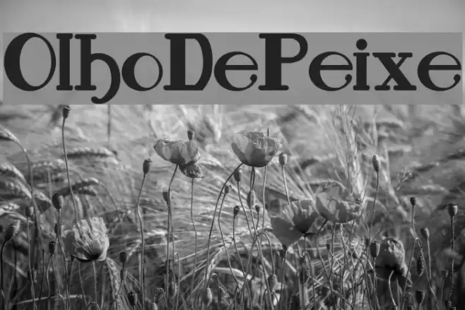 OlhoDePeixe Font examples