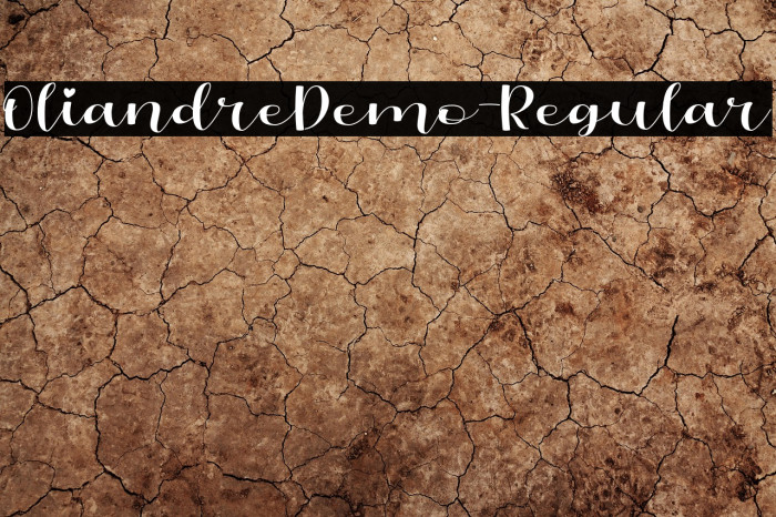 OliandreDemo-Regular Example 3