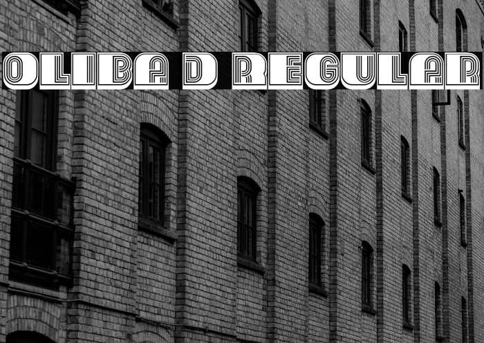 Oliba 3D Regular Example 2