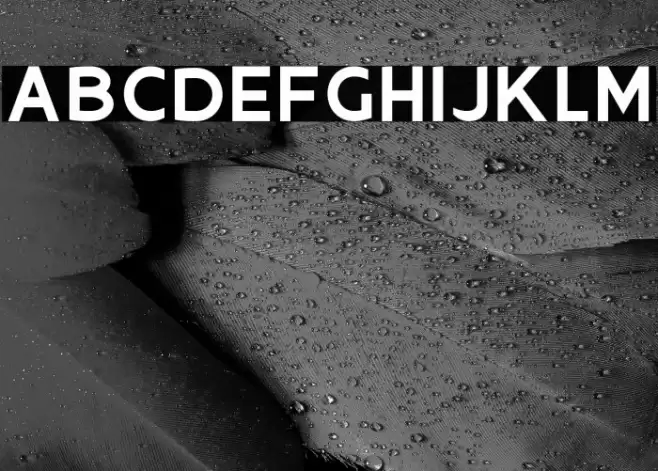 Oliciy Font examples