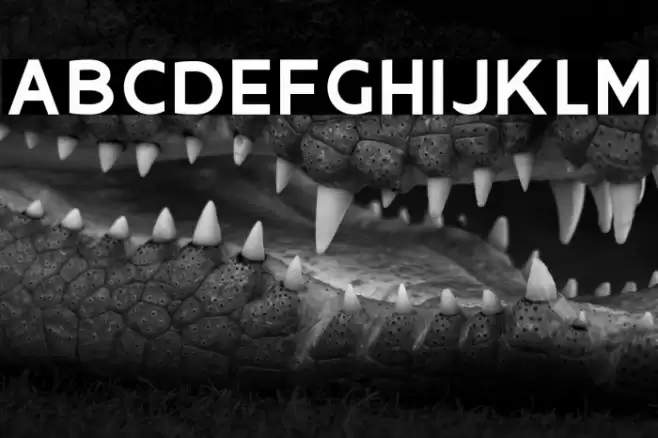 Oliciy Font examples