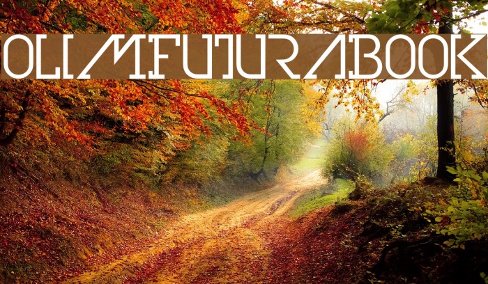OlimFuturaBook Font examples