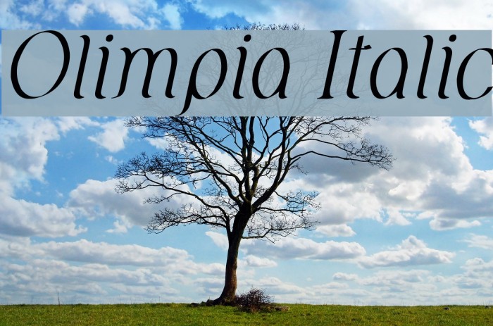 Olimpia Italic फ़ॉन्ट examples