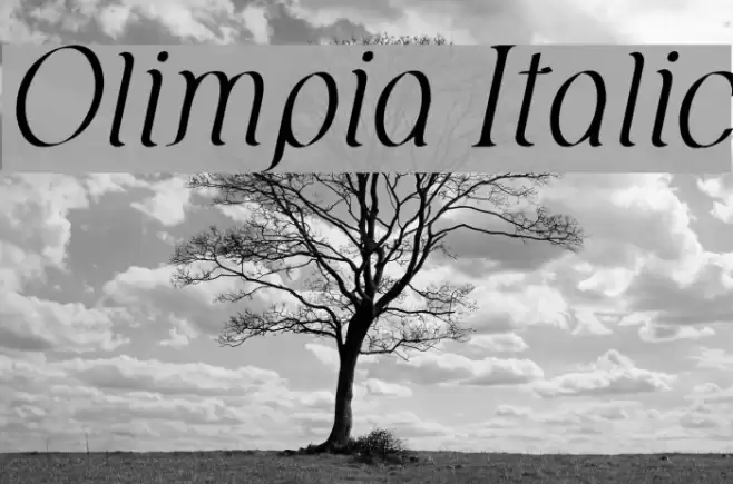 Olimpia Italic Font examples