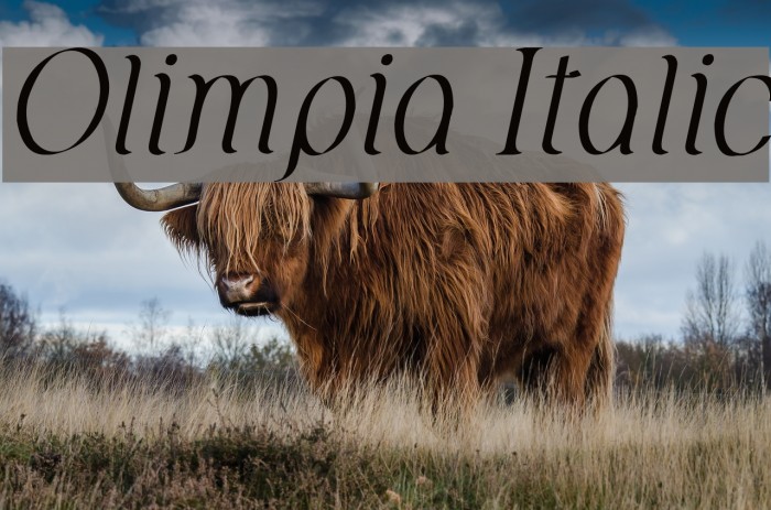 Olimpia Italic फ़ॉन्ट examples