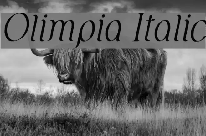 Olimpia Italic Font examples