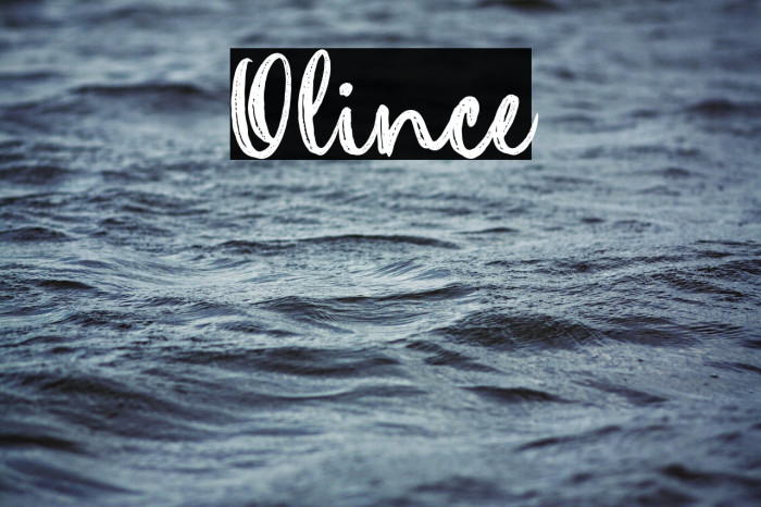 Olince Example 2