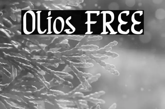 Olios FREE Font examples