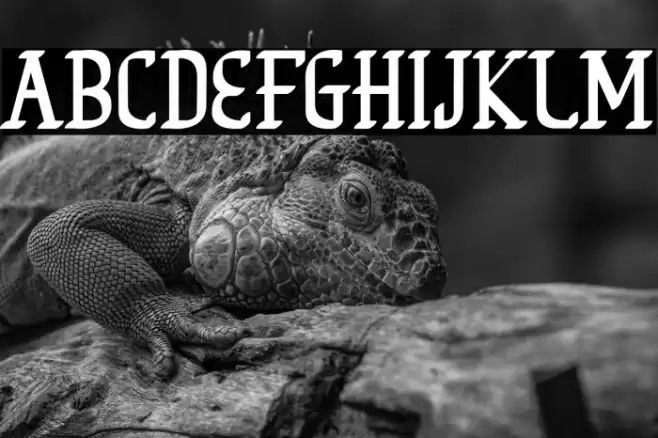 OliosFREE Font examples