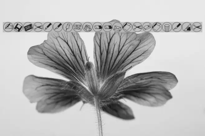 OlisWebButtonsInvers Font examples