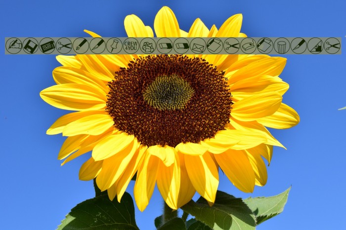 OlisWebButtonsInvers Example 3