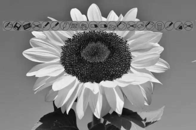 OlisWebButtonsInvers Font examples