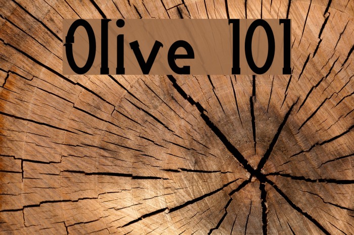 Olive 101 Font examples