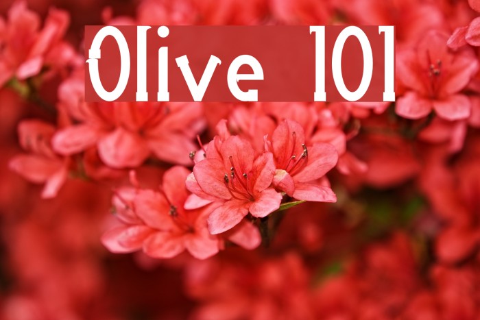Olive 101 Font examples