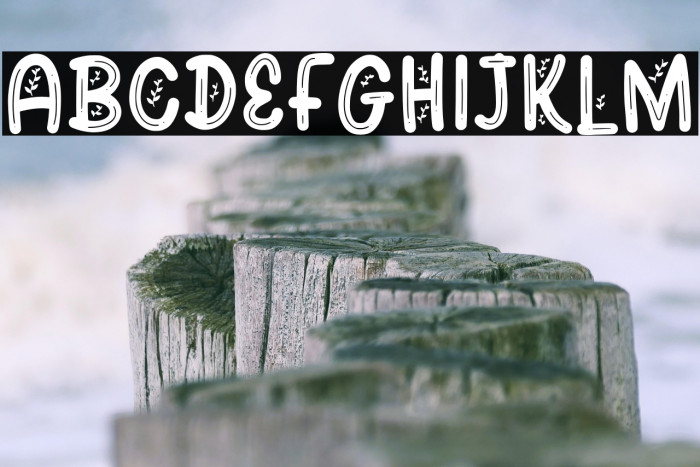 Olive Branch Example 3