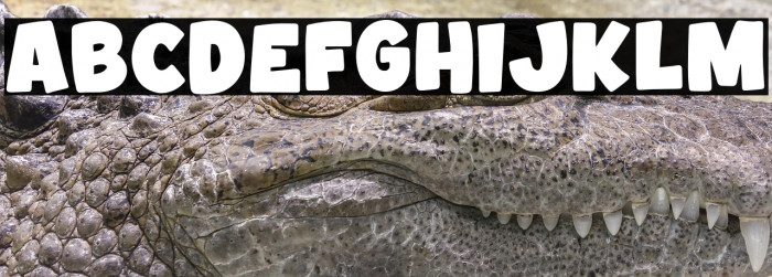 Olive Days Example 1