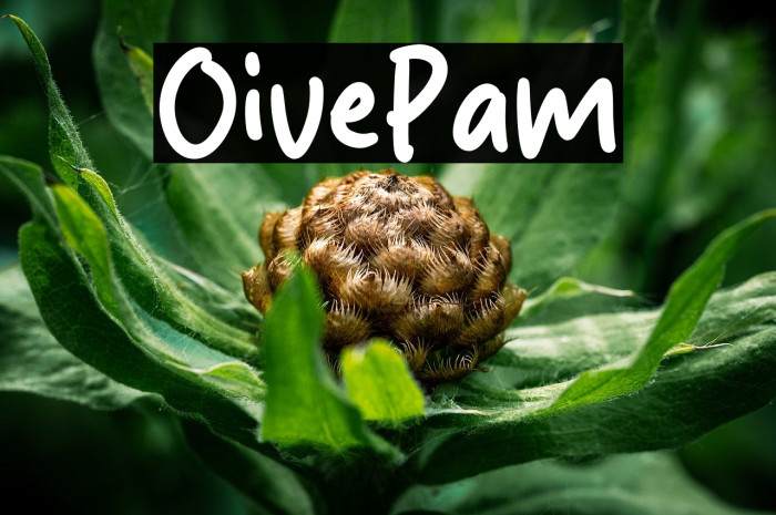 Olive Palm Example 2