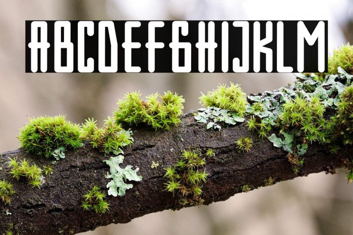 Olive Regular Example 1