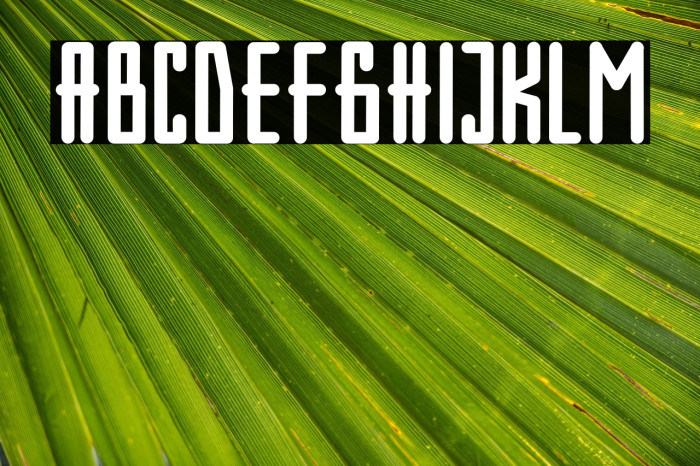 Olive Regular Example 3