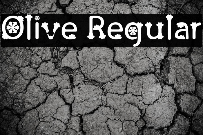 Olive Regular Example 3