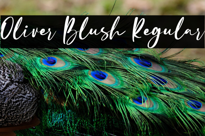 Oliver Blush Regular Example 1