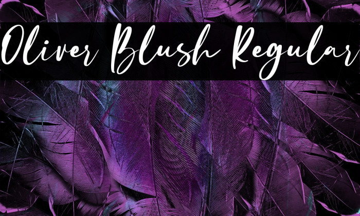 Oliver Blush Regular Example 3