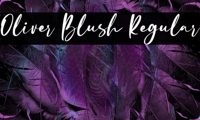 Oliver Blush Regular Example 3