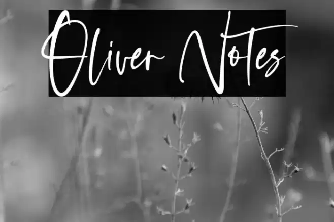 Oliver Notes Schriftart examples