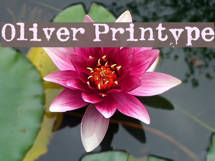 Oliver Printype Font examples