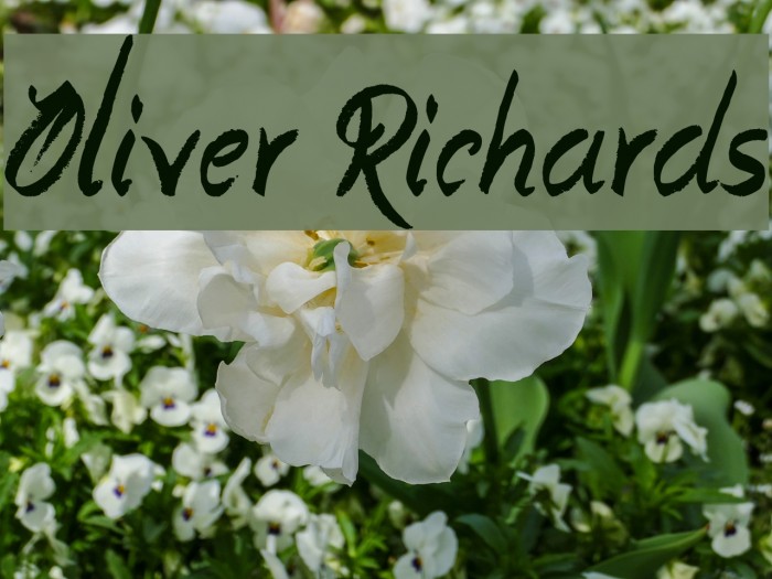 Oliver Richards Font examples