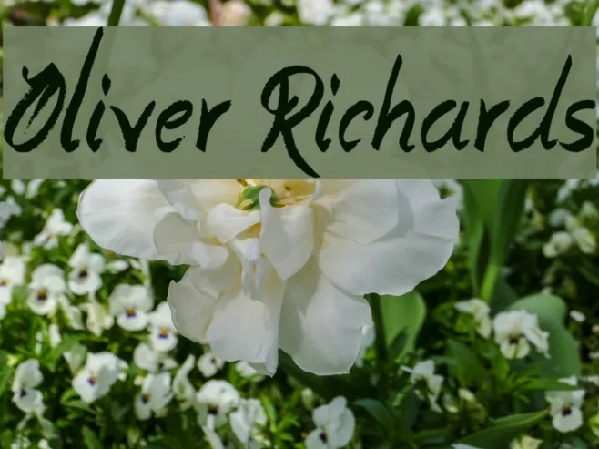 Oliver Richards Example 3