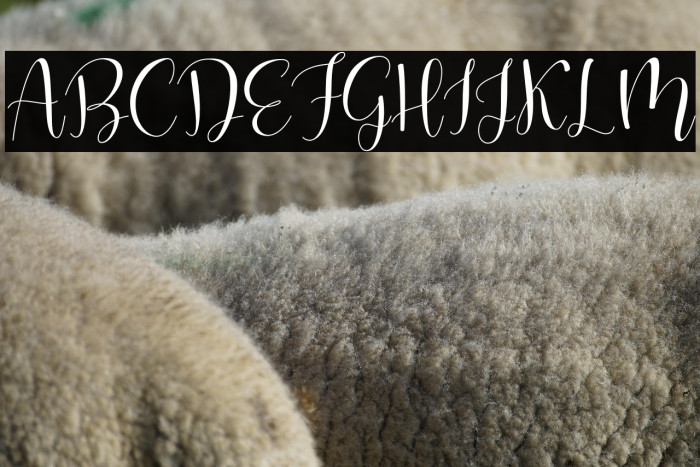 Oliver Sophie Example 1