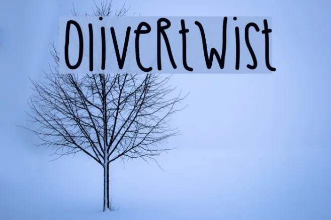OliverTwist Example 2