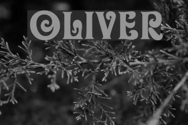 Oliver Font examples