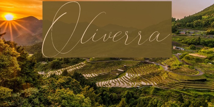 Oliverra Font examples