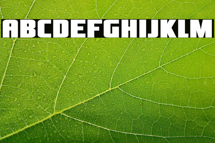 OliversBarney-Regular Example 1