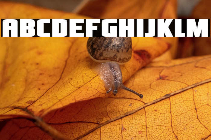 OliversBarney-Regular Example 3