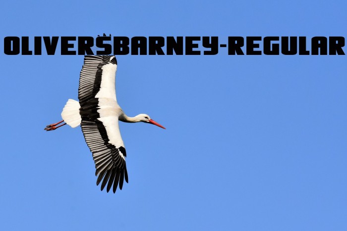 OliversBarney-Regular Example 3