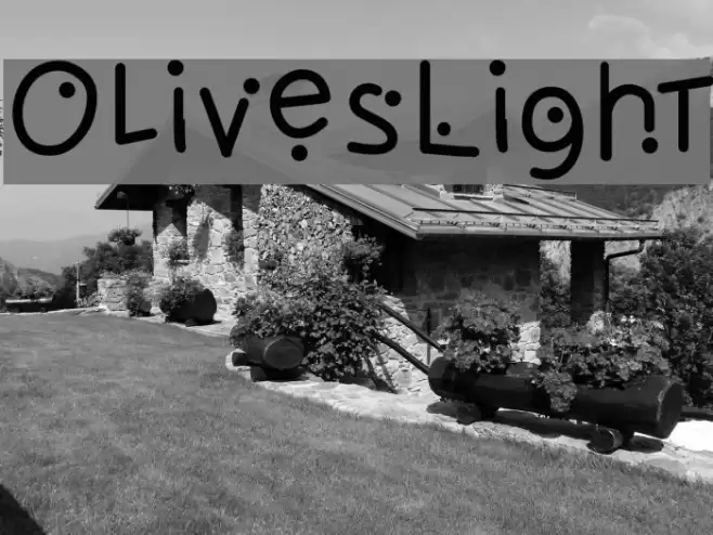 OlivesLight Font examples