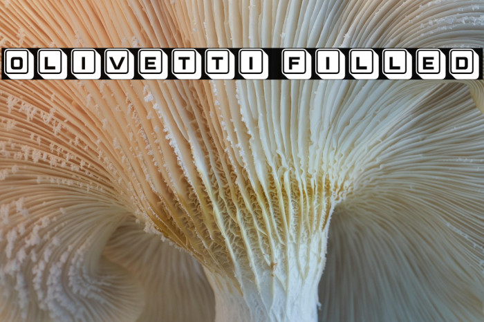 Olivetti Filled Example 3